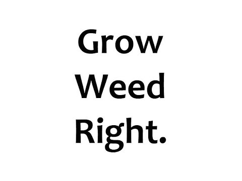 How Much Light To Grow Weed, Vegetables or Fruit during Seedlings, Vegetative, Flowering phases